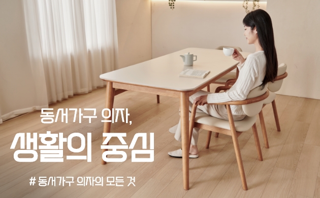 의자의 모든것