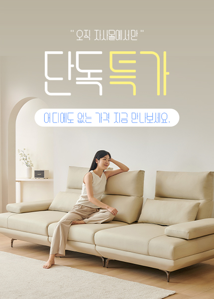 단독특가