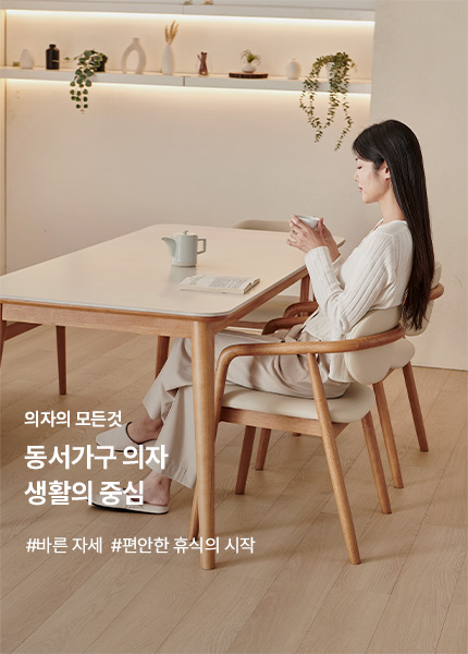 의자의 모든것